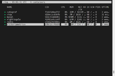 Docker安装Ctop轻量级交互式的Docker实时指标监控工具